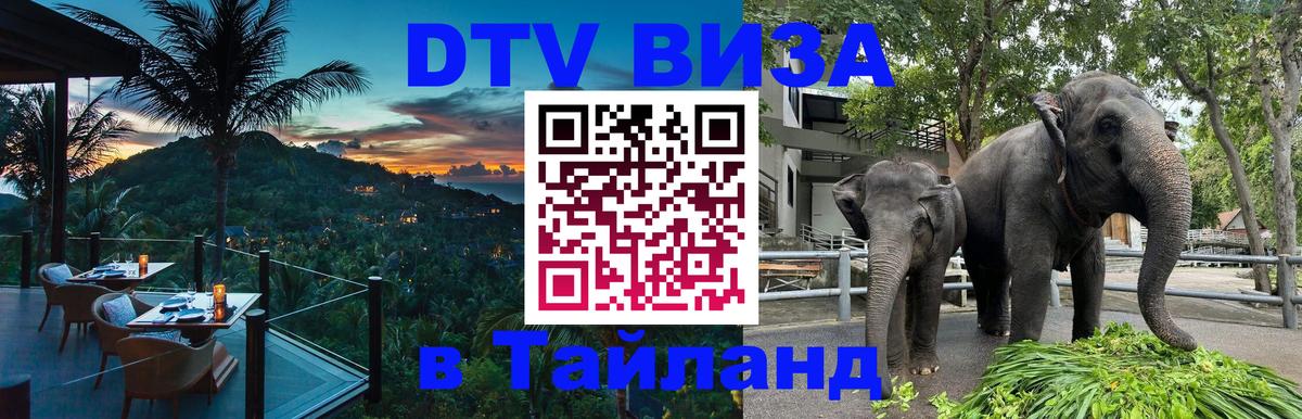 Стоимость и условия DTV визы — оформление в Таиланд под ключ - 04.10.2025 
